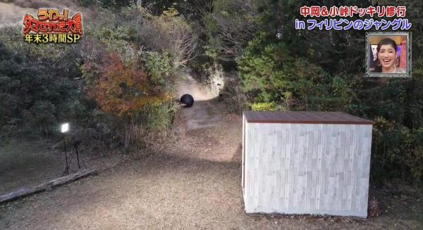 这就是日本综艺!《整人大赏》全集下载等你来 - 伦敦之心